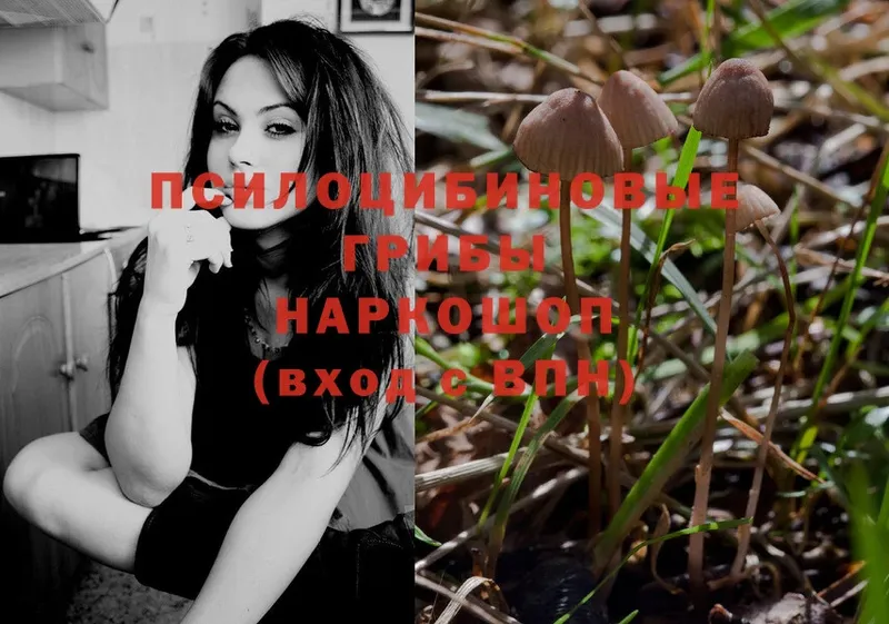 Галлюциногенные грибы Magic Shrooms  купить наркоту  Ипатово 